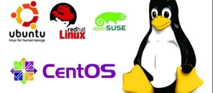 Read more about the article Exploring the Power of Linux Servers: Unleashing Digital Possibilities